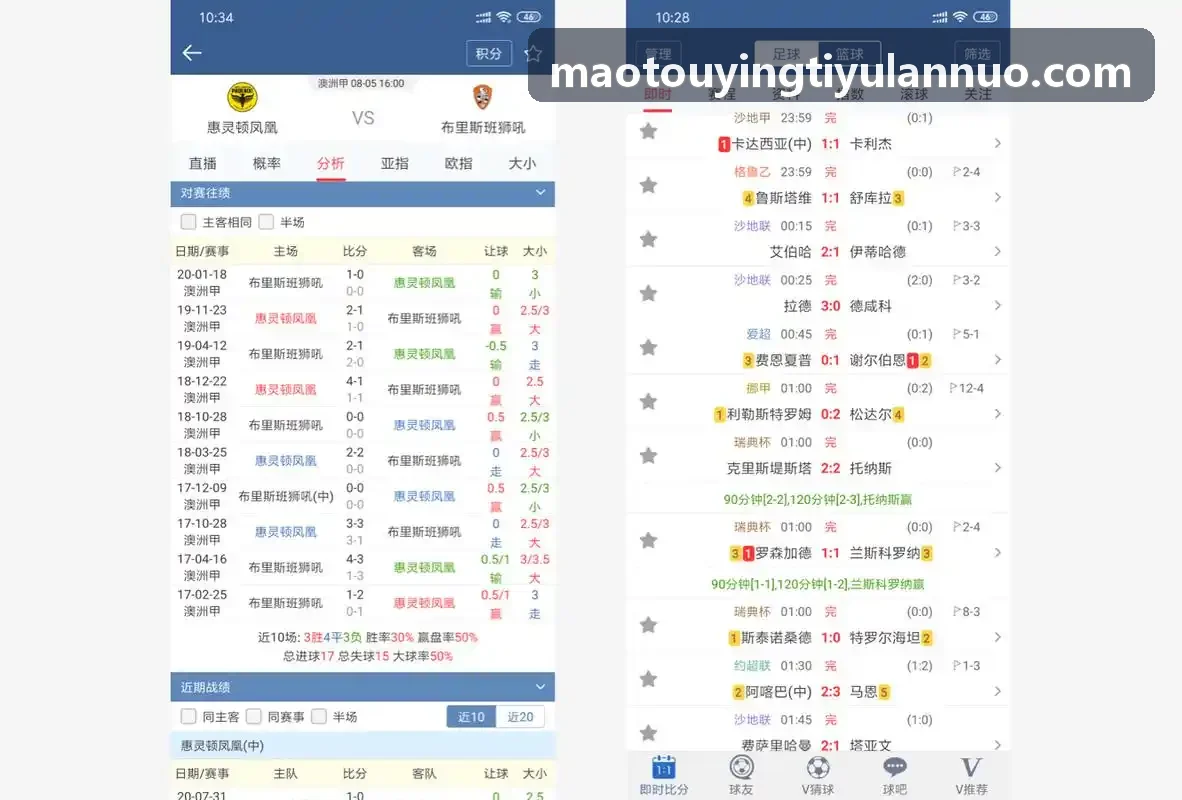 猫头鹰体育-球类器材分销案例